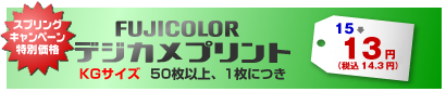 FUJICOLORデジカメプリント KGサイズ 50枚以上、1枚につき 15→13円