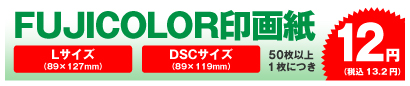 FUJICOLORデジカメプリント Lサイズ・DSCサイズ 50枚以上、1枚につき 12円