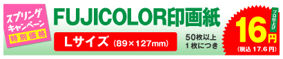 FUJICOLORデジカメプリント Lサイズ 50枚以上、1枚につき 16円