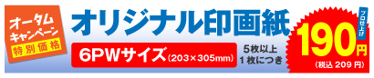 高品質印画紙デジカメプリント 6PWサイズ 5枚以上、1枚につき 190円