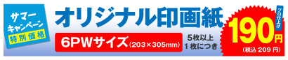 高品質印画紙デジカメプリント 6PWサイズ 5枚以上、1枚につき 190円