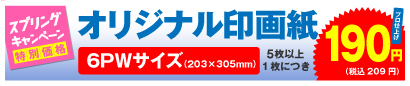 高品質印画紙デジカメプリント 6PWサイズ 5枚以上、1枚につき 190円