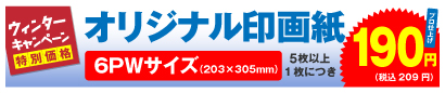 高品質印画紙デジカメプリント 6PWサイズ 5枚以上、1枚につき 190円
