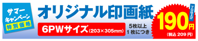 高品質印画紙デジカメプリント 6PWサイズ 5枚以上、1枚につき 190円
