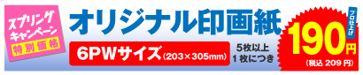 高品質印画紙デジカメプリント 6PWサイズ 5枚以上、1枚につき 190円