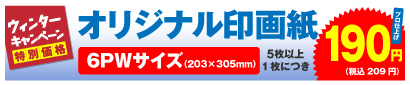 高品質印画紙デジカメプリント 6PWサイズ 5枚以上、1枚につき 190円
