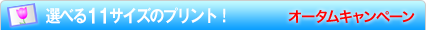 選べる11種類のプリント！キャンペーン実施中！