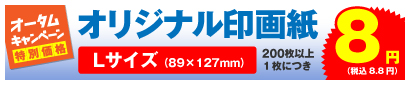 オリジナル印画紙 Lサイズ 200枚以上、1枚につき 8円
