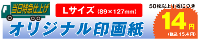 オリジナル印画紙 Lサイズ 50枚以上、1枚につき 14円