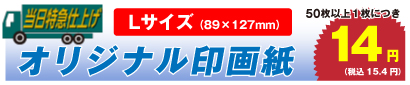オリジナル印画紙 Lサイズ 50枚以上、1枚につき 14円