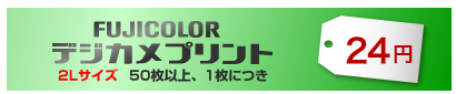 FUJICOLORデジカメプリント 2Lサイズ 50枚以上、1枚につき 25円