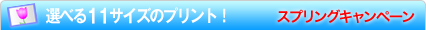 選べる11種類のプリント！キャンペーン実施中！