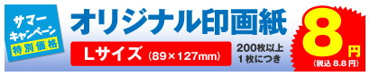 オリジナル印画紙 Lサイズ 200枚以上、1枚につき 8円