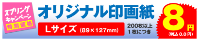 オリジナル印画紙 Lサイズ 200枚以上、1枚につき 8円