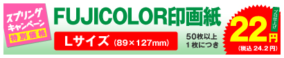 FUJICOLOR印画紙 Lサイズ 50枚以上、1枚につき 22円