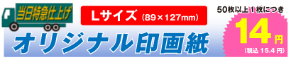 オリジナル印画紙 Lサイズ 50枚以上、1枚につき 14円